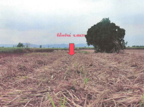 ขายทอดตลาด ที่ดินว่างเปล่า ต.หลุบคา อ.แก้งคร้อ จ.ชัยภูมิ