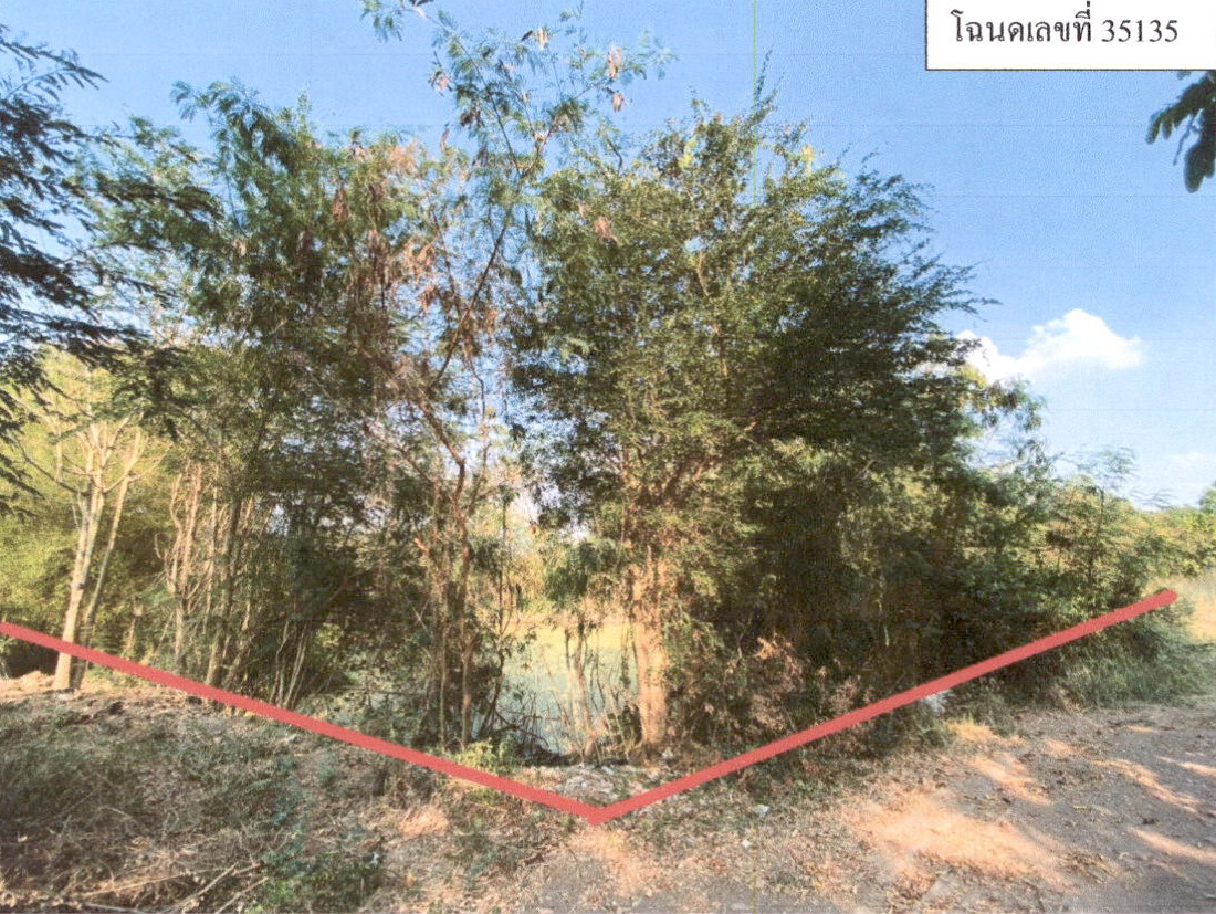 ขายทอดตลาด ที่ดินว่างเปล่า ต.หนองตูม อ.ภูเขียว จ.ชัยภูมิ