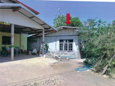 ขายทอดตลาด ที่ดินพร้อมสิ่งปลูกสร้าง ต.บ้านเพชร อ.ภูเขียว จ.ชัยภูมิ