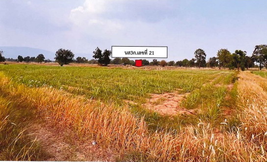 ขายทอดตลาด ที่ดินว่างเปล่า ต.หนองแวง อ.หนองบัวแดง จ.ชัยภูมิ