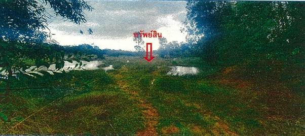 ขายทอดตลาด ที่ดินว่างเปล่า ต.เมืองเก่า อ.กบินทร์บุรี จ.ปราจีนบุรี