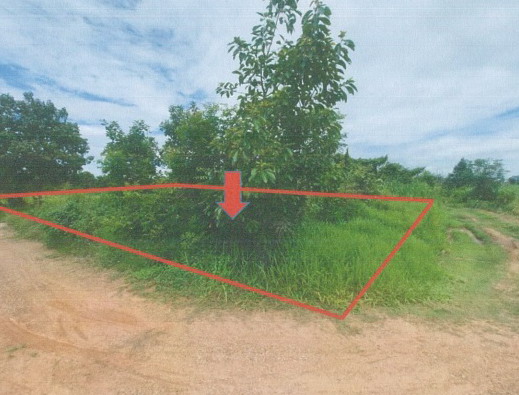 ขายทอดตลาด ที่ดินว่างเปล่า ต.ผักปัง อ.ภูเขียว จ.ชัยภูมิ