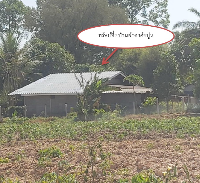 ขายทอดตลาด ที่ดินพร้อมสิ่งปลูกสร้าง ต.นาแขม อ.กบินทร์บุรี จ.ปราจีนบุรี