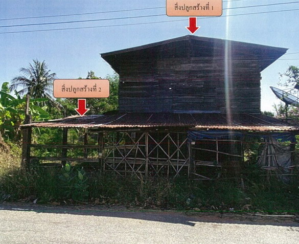 ขายทอดตลาด ที่ดินพร้อมสิ่งปลูกสร้าง ต.หนองสังข์ อ.แก้งคร้อ จ.ชัยภูมิ