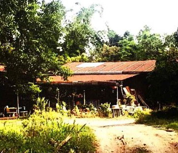ขายทอดตลาด ที่ดินพร้อมสิ่งปลูกสร้าง ต.บ้านแก้ง อ.ภูเขียว จ.ชัยภูมิ