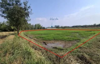 รูปทรัพย์ 2