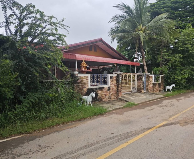 ขายทอดตลาด ที่ดินพร้อมสิ่งปลูกสร้าง ต.ผักปัง อ.ภูเขียว จ.ชัยภูมิ