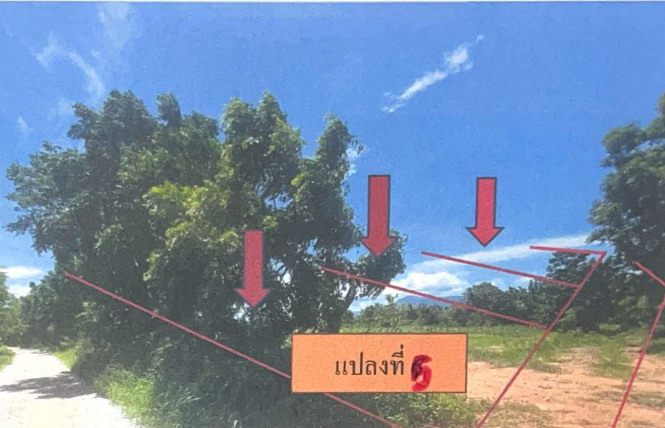 ขายทอดตลาด ที่ดินว่างเปล่า ต.บ้านยาง อ.เกษตรสมบูรณ์ จ.ชัยภูมิ