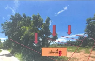 รูปทรัพย์ 1