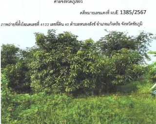 รูปทรัพย์ 2