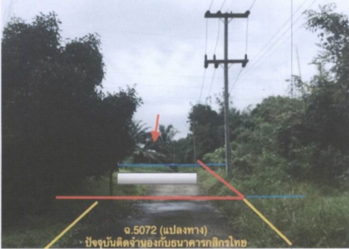 ขายทอดตลาด ที่ดินพร้อมสิ่งปลูกสร้าง ต.เหมาะ อ.กะปง จ.พังงา