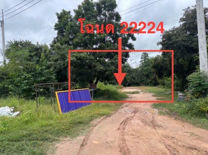 ขายทอดตลาด ที่ดินว่างเปล่า ต.บ้านแก้ง อ.ภูเขียว จ.ชัยภูมิ