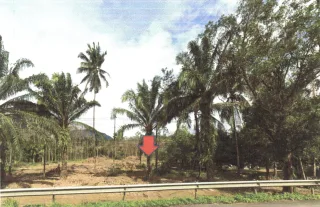 รูปทรัพย์ 2