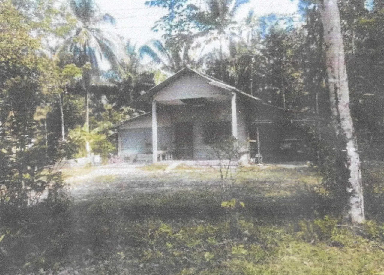 ขายทอดตลาด ที่ดินพร้อมสิ่งปลูกสร้าง ต.เหล อ.กะปง จ.พังงา