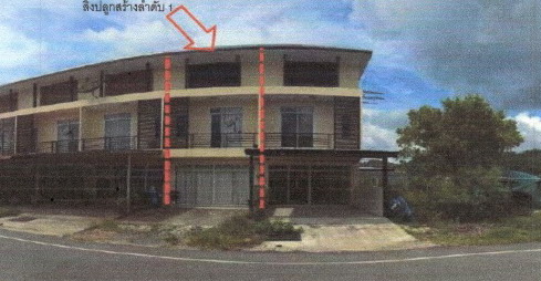 ขายทอดตลาด ที่ดินพร้อมสิ่งปลูกสร้าง ต.บางนายสี อ.ตะกั่วป่า จ.พังงา
