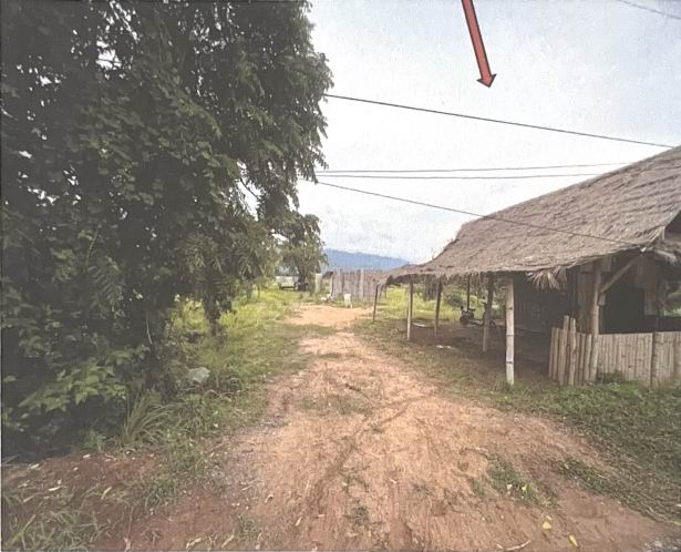 ขายทอดตลาด ที่ดินพร้อมสิ่งปลูกสร้าง ต.หนองข่า อ.เกษตรสมบูรณ์ จ.ชัยภูมิ