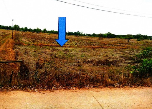 ขายทอดตลาด ที่ดินว่างเปล่า ต.บ้านแท่น อ.บ้านแท่น จ.ชัยภูมิ