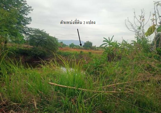 ขายทอดตลาด ที่ดินว่างเปล่า ต.ผักปัง อ.ภูเขียว จ.ชัยภูมิ