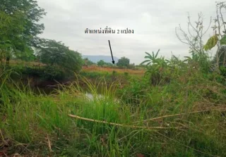 รูปทรัพย์ 1