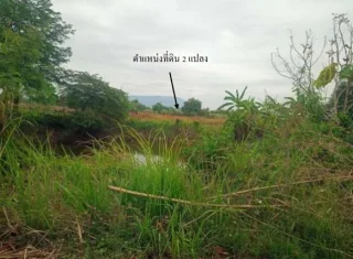 รูปทรัพย์ 2