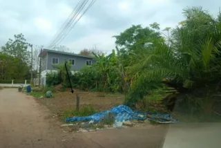 รูปทรัพย์ 3
