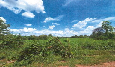 ขายทอดตลาด ที่ดินว่างเปล่า ต.หนองข่า อ.เกษตรสมบูรณ์ จ.ชัยภูมิ