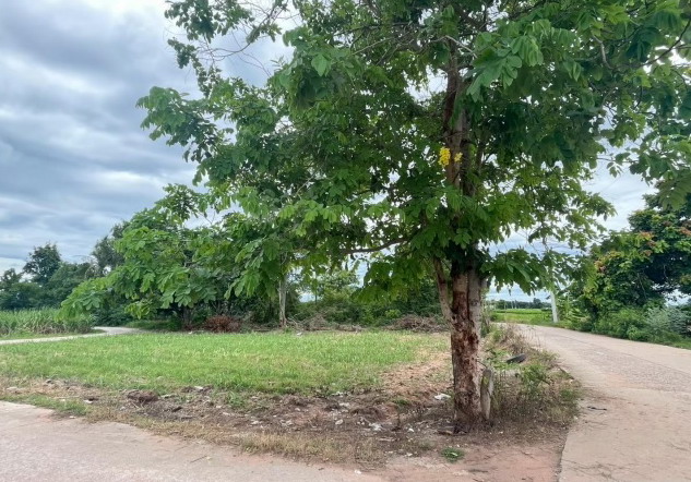 ขายทอดตลาด ที่ดินว่างเปล่า ต.หนองโพนงาม อ.เกษตรสมบูรณ์ จ.ชัยภูมิ