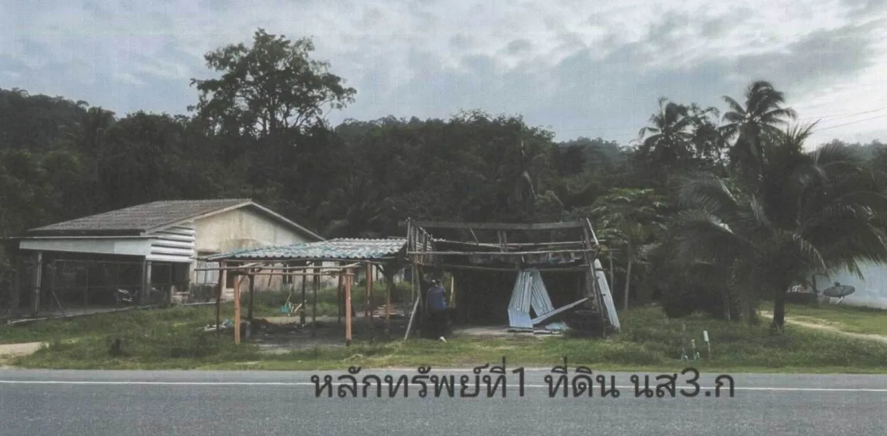 ขายทอดตลาด ที่ดินพร้อมสิ่งปลูกสร้าง ต.ตำตัว อ.ตะกั่วป่า จ.พังงา