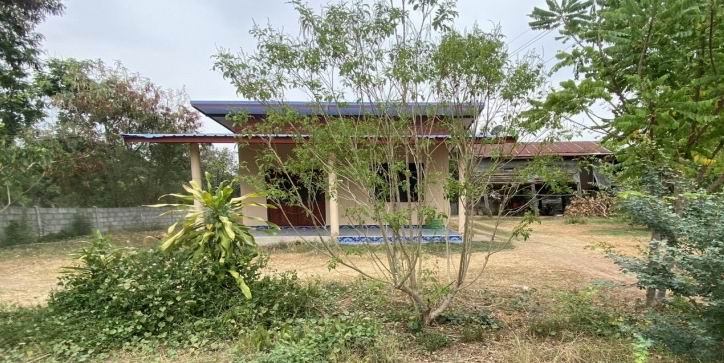 ขายทอดตลาด ที่ดินพร้อมสิ่งปลูกสร้าง ต.บ้านเดื่อ อ.เกษตรสมบูรณ์ จ.ชัยภูมิ