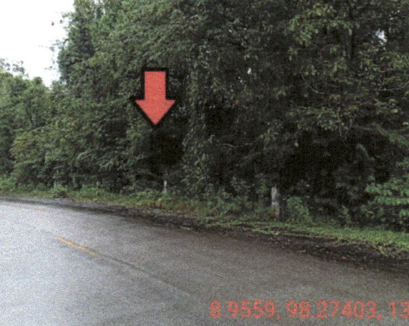 ขายทอดตลาด ที่ดินว่างเปล่า ต.เกาะคอเขา อ.ตะกั่วป่า จ.พังงา