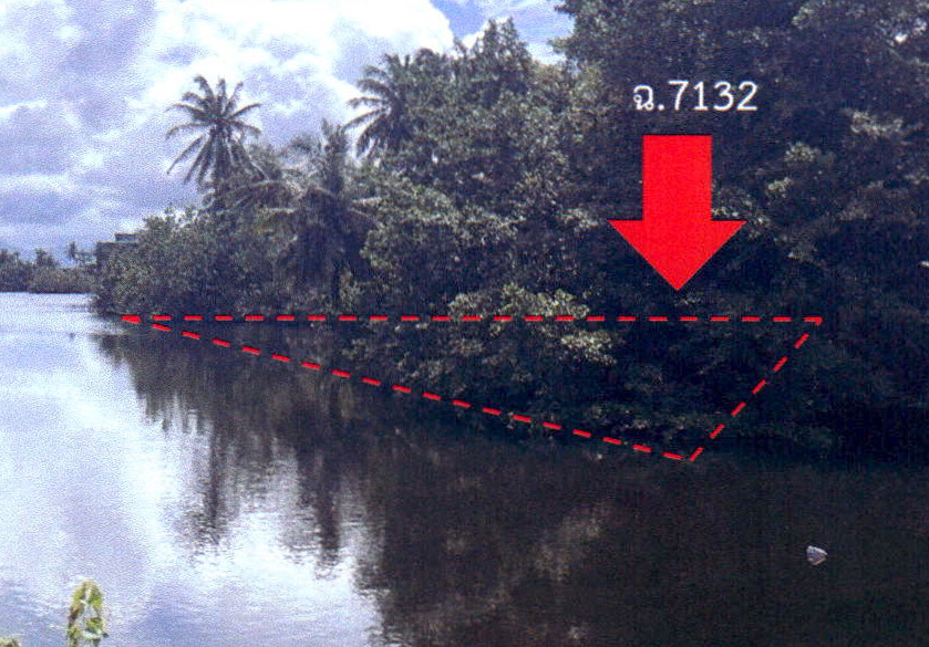 ขายทอดตลาด ที่ดินว่างเปล่า ต.บางม่วง อ.ตะกั่วป่า จ.พังงา