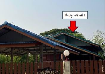 ขายทอดตลาด ที่ดินพร้อมสิ่งปลูกสร้าง ต.คอนสาร อ.คอนสาร จ.ชัยภูมิ