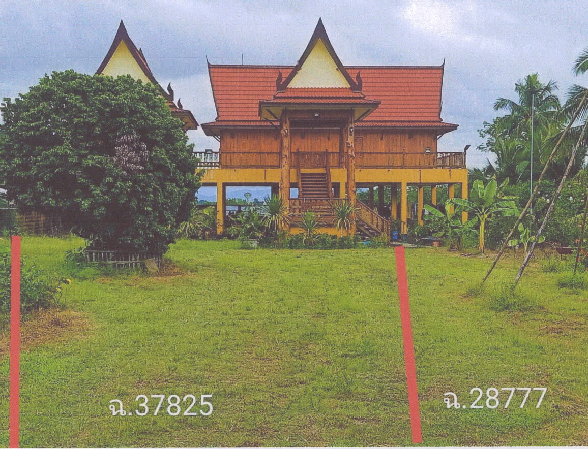 ขายทอดตลาด ที่ดินพร้อมสิ่งปลูกสร้าง ต.โป่งงาม อ.แม่สาย จ.เชียงราย