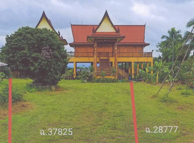 ขายทอดตลาด ที่ดินพร้อมสิ่งปลูกสร้าง ต.โป่งงาม อ.แม่สาย จ.เชียงราย