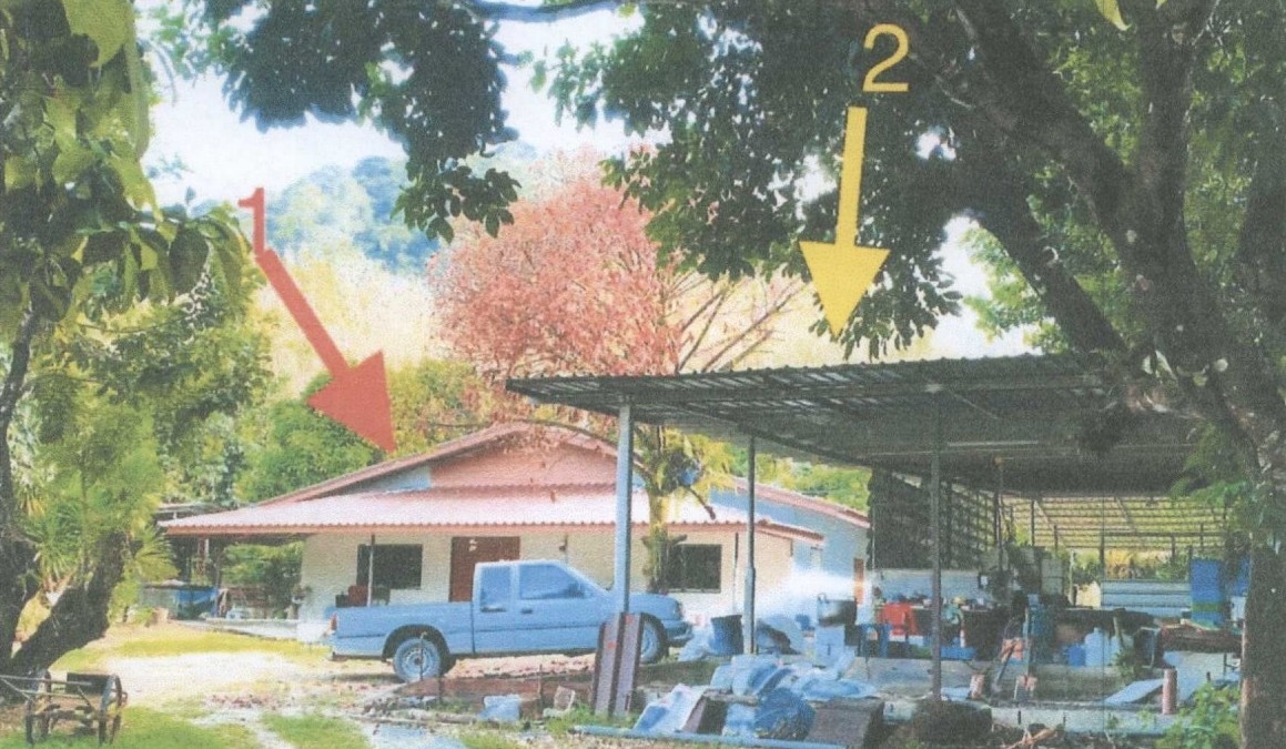 ขายทอดตลาด ที่ดินพร้อมสิ่งปลูกสร้าง ต.บางไทร อ.ตะกั่วป่า จ.พังงา