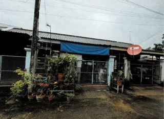 รูปทรัพย์ 1