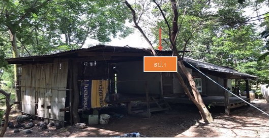 ขายทอดตลาด ที่ดินพร้อมสิ่งปลูกสร้าง ต.บ้านเพชร อ.ภูเขียว จ.ชัยภูมิ