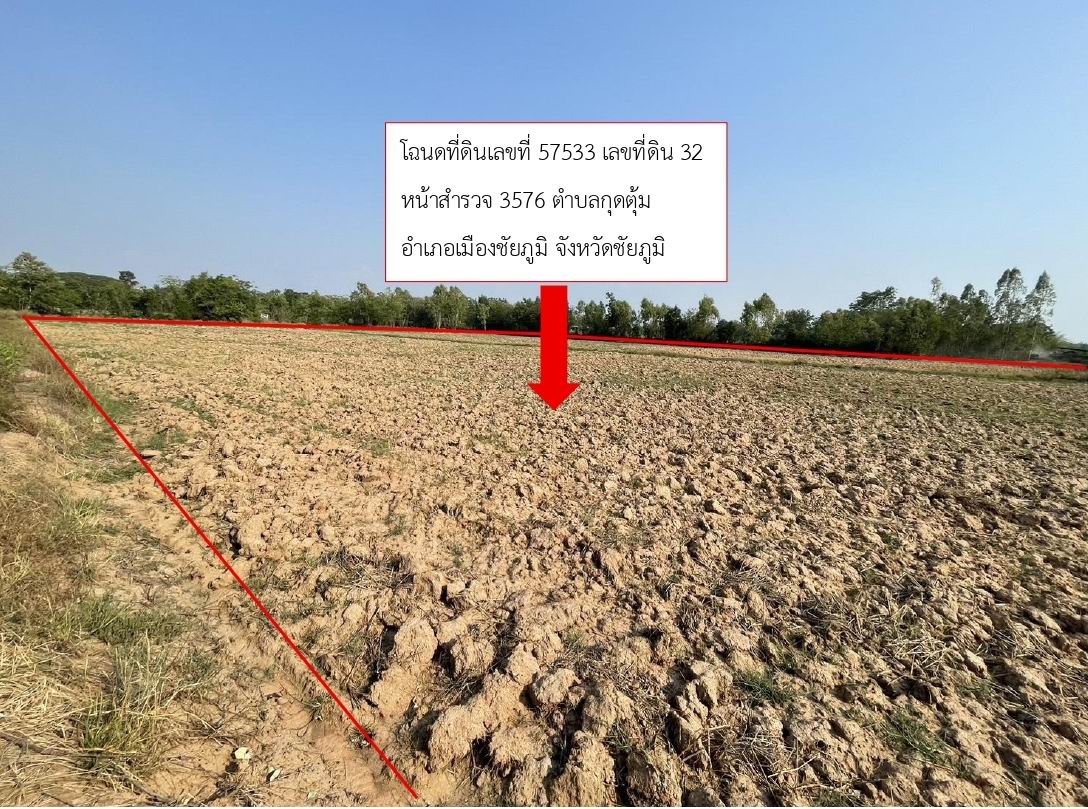 ขายทอดตลาด ที่ดินว่างเปล่า ต.กุดตุ้ม อ.เมืองชัยภูมิ จ.ชัยภูมิ