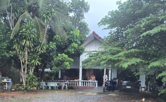 ขายทอดตลาด ที่ดินพร้อมสิ่งปลูกสร้าง ต.บ้านแท่น อ.บ้านแท่น จ.ชัยภูมิ
