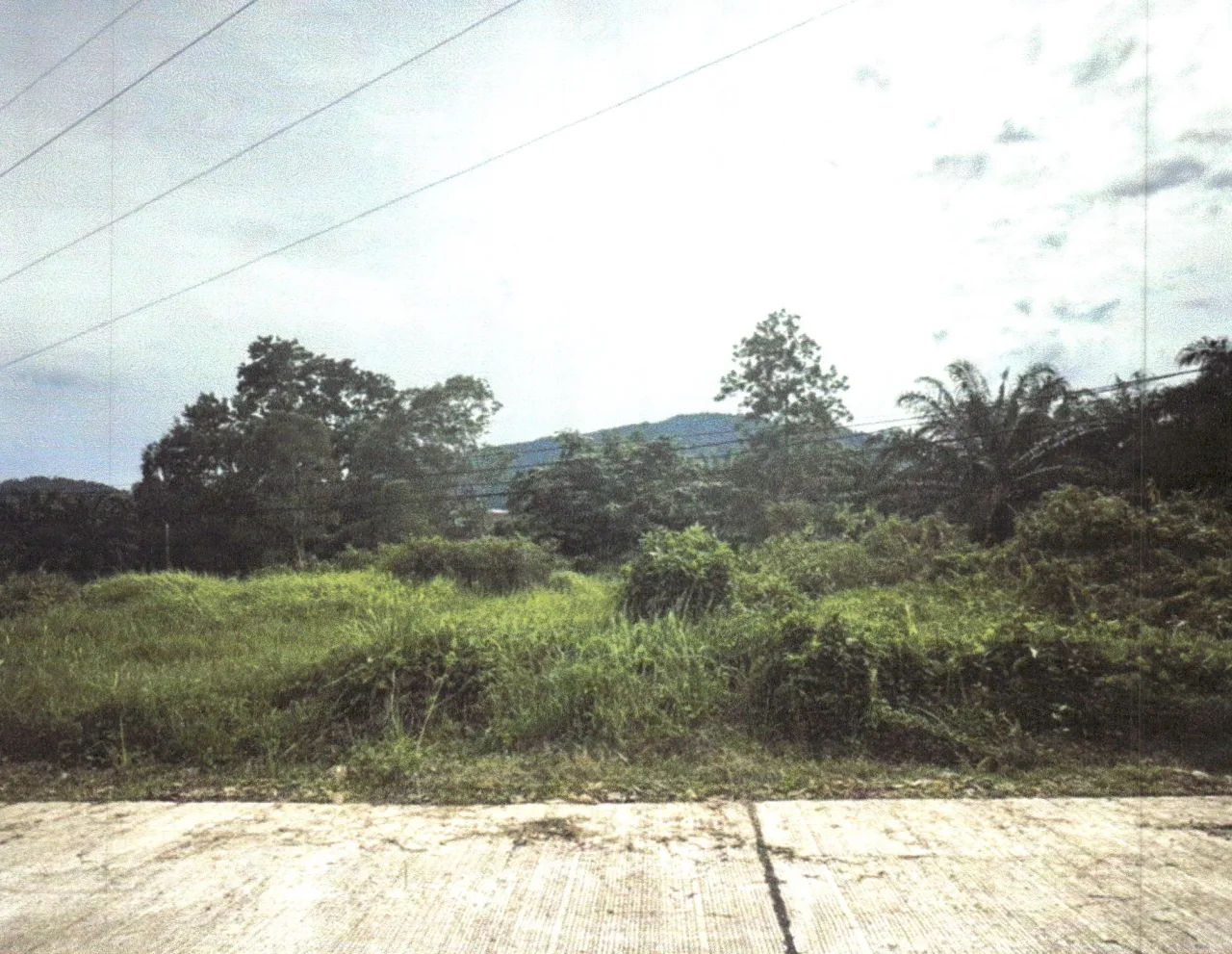 ขายทอดตลาด ที่ดินว่างเปล่า ต.แม่นางขาว อ.คุระบุรี จ.พังงา