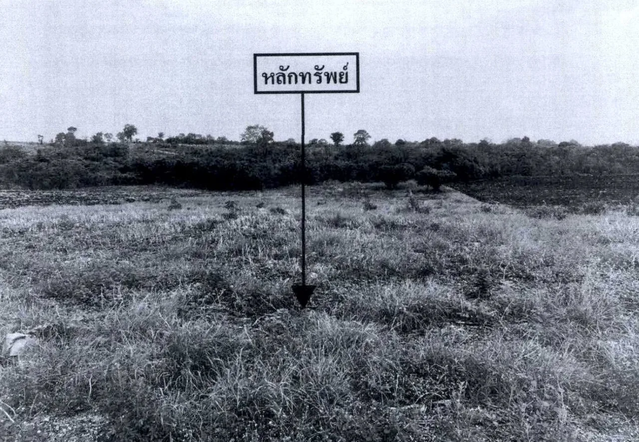 ขายทอดตลาด ที่ดินว่างเปล่า ต.กันจุ อ.บึงสามพัน จ.เพชรบูรณ์