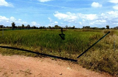 ขายทอดตลาด ที่ดินว่างเปล่า ต.นาสนุ่น อ.ศรีเทพ จ.เพชรบูรณ์