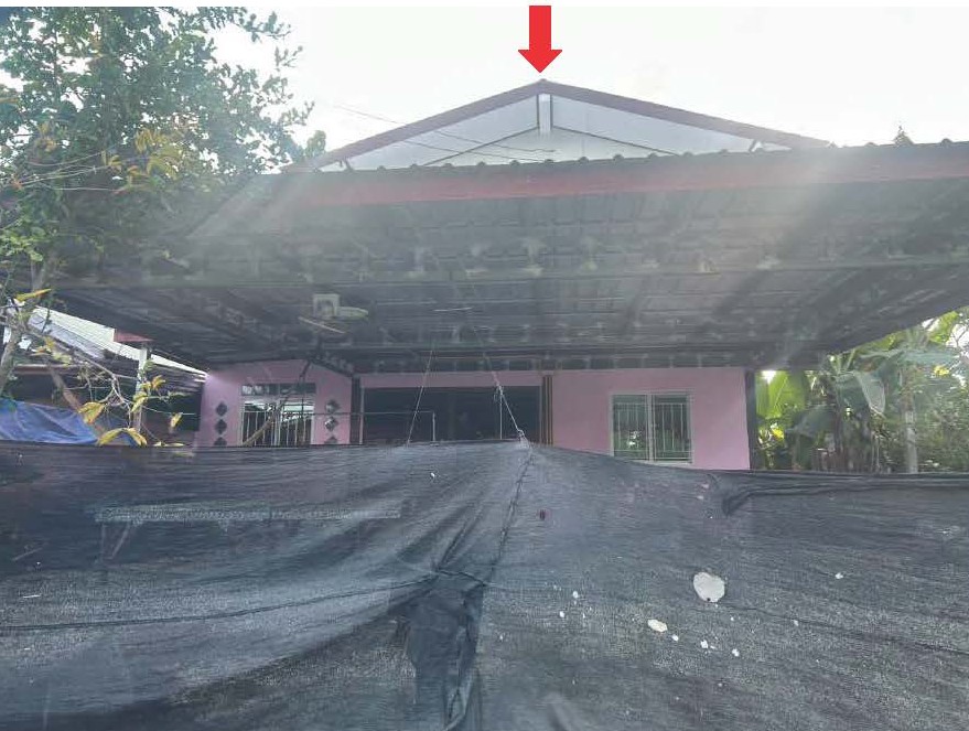 ขายทอดตลาด ที่ดินพร้อมสิ่งปลูกสร้าง ต.น้ำร้อน อ.วิเชียรบุรี จ.เพชรบูรณ์