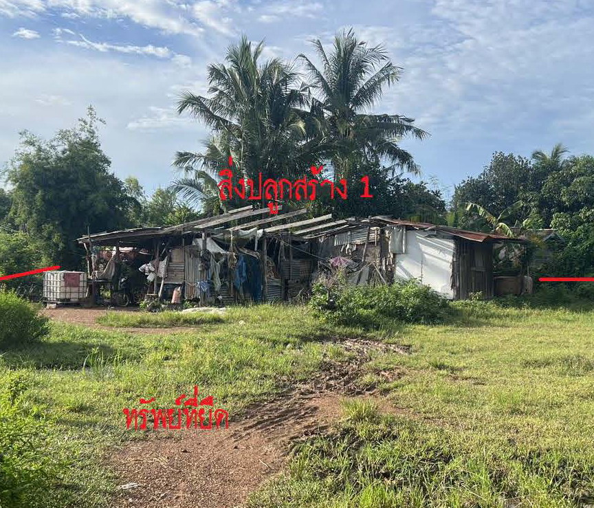 ขายทอดตลาด ที่ดินพร้อมสิ่งปลูกสร้าง ต.นาสนุ่น อ.ศรีเทพ จ.เพชรบูรณ์