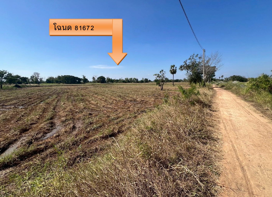 ขายทอดตลาด ที่ดินว่างเปล่า ต.หนองนาแซง อ.เมืองชัยภูมิ จ.ชัยภูมิ