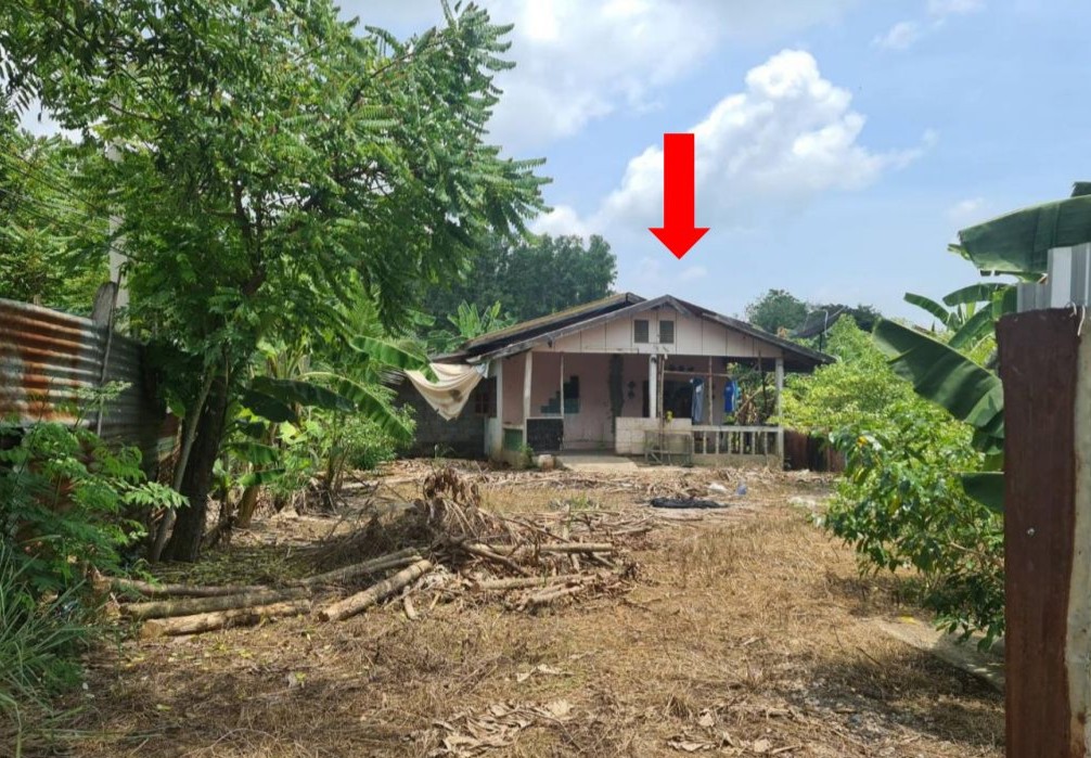 ขายทอดตลาด ที่ดินพร้อมสิ่งปลูกสร้าง ต.บึงสามพัน อ.บึงสามพัน จ.เพชรบูรณ์