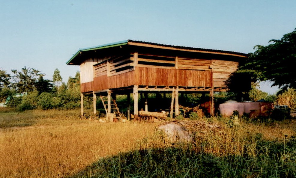 ขายทอดตลาด ที่ดินพร้อมสิ่งปลูกสร้าง ต.บ้านโภชน์ อ.หนองไผ่ จ.เพชรบูรณ์