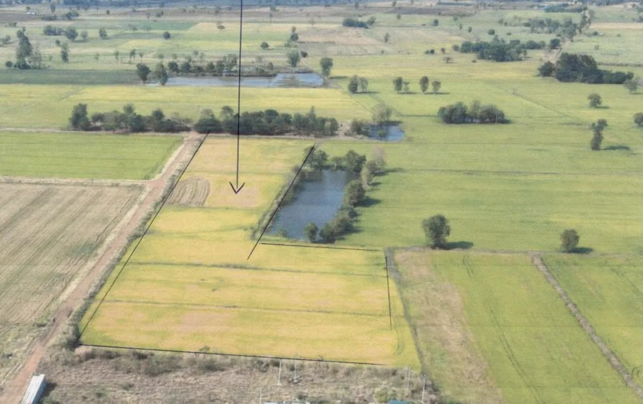 ขายทอดตลาด ที่ดินว่างเปล่า ต.สระกรวด อ.ศรีเทพ จ.เพชรบูรณ์