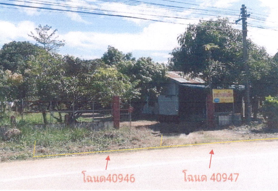 ขายทอดตลาด ที่ดินพร้อมสิ่งปลูกสร้าง ต.ยางสาว อ.วิเชียรบุรี จ.เพชรบูรณ์