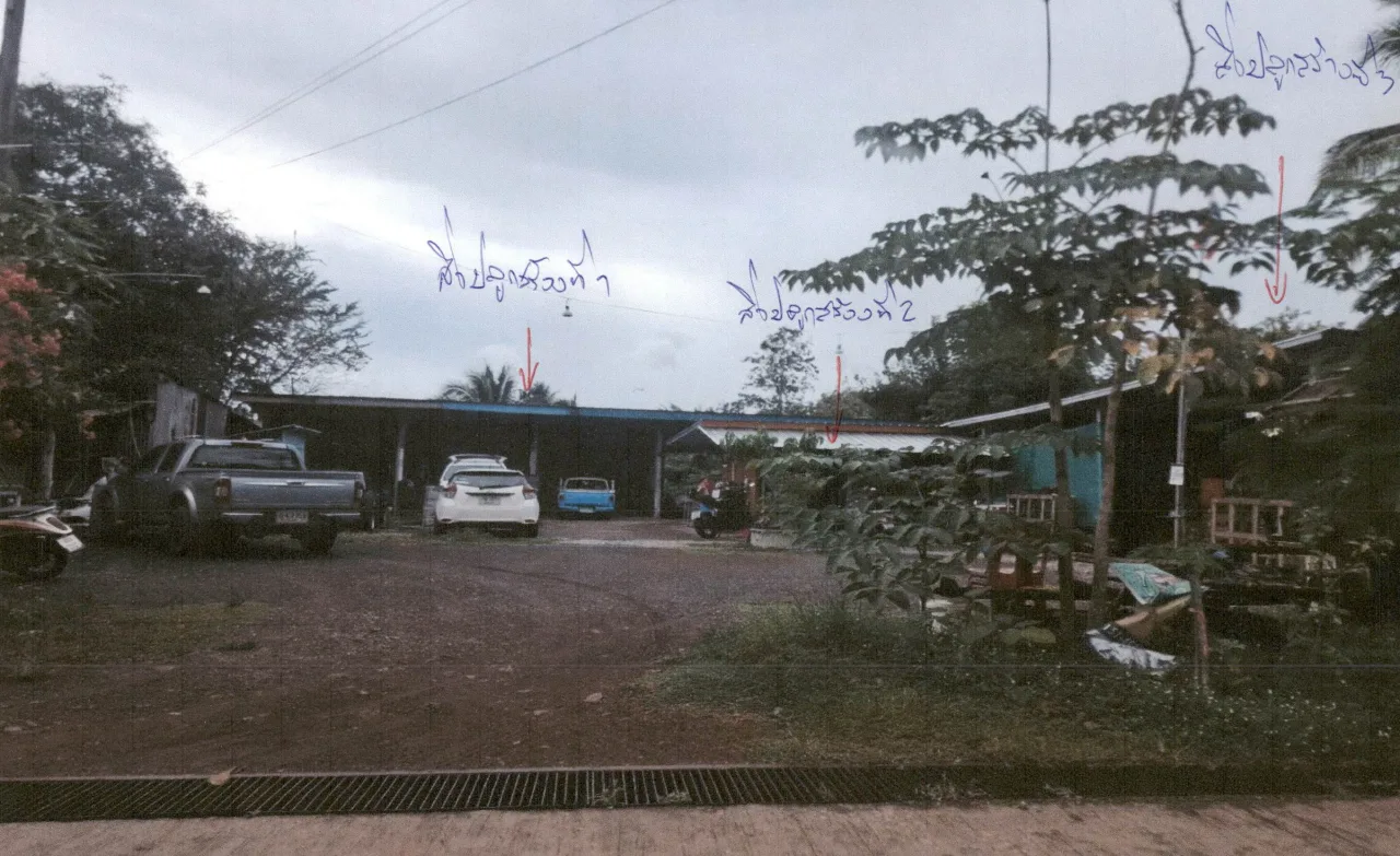 ขายทอดตลาด ที่ดินพร้อมสิ่งปลูกสร้าง ต.หนองไผ่ อ.หนองไผ่ จ.เพชรบูรณ์